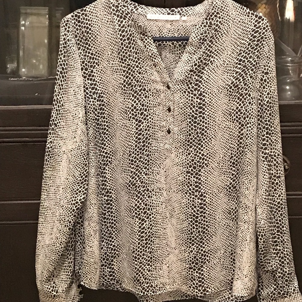 Sheer tunic blouse